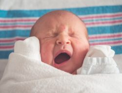 Jadwal Imunisasi Bayi, Panduan Lengkap Terbaru Menurut IDAI